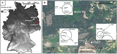 Dye Tracer Visualization of Infiltration Patterns in Soils on Relict Charcoal Hearths